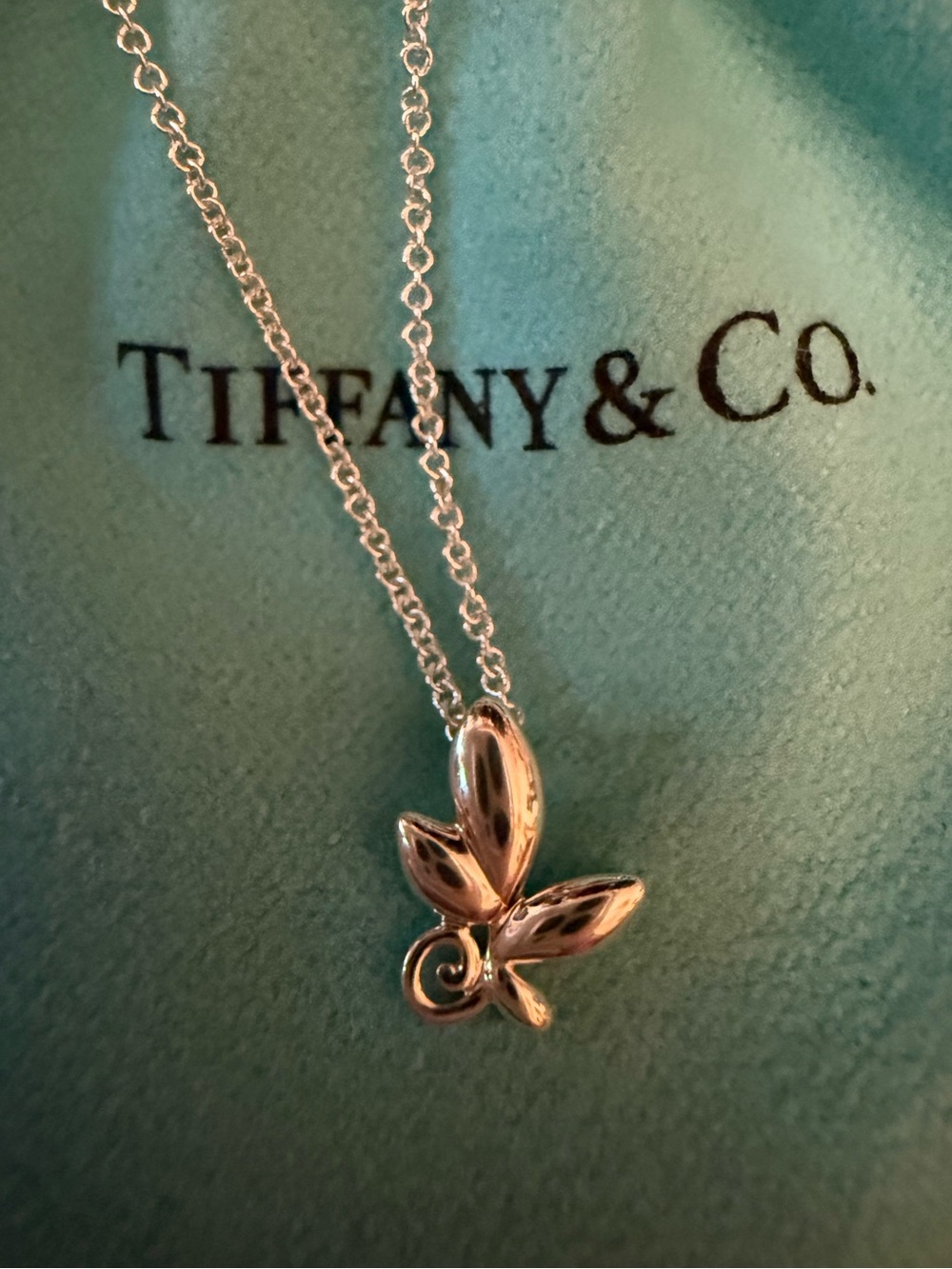 Tiffany & Co. Silver Leaf Motif Necklace on Chain